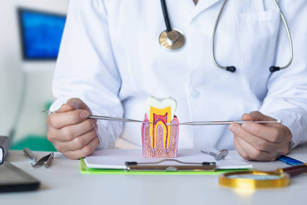 Best Pediatric Emergency Dentist in Graham, NC